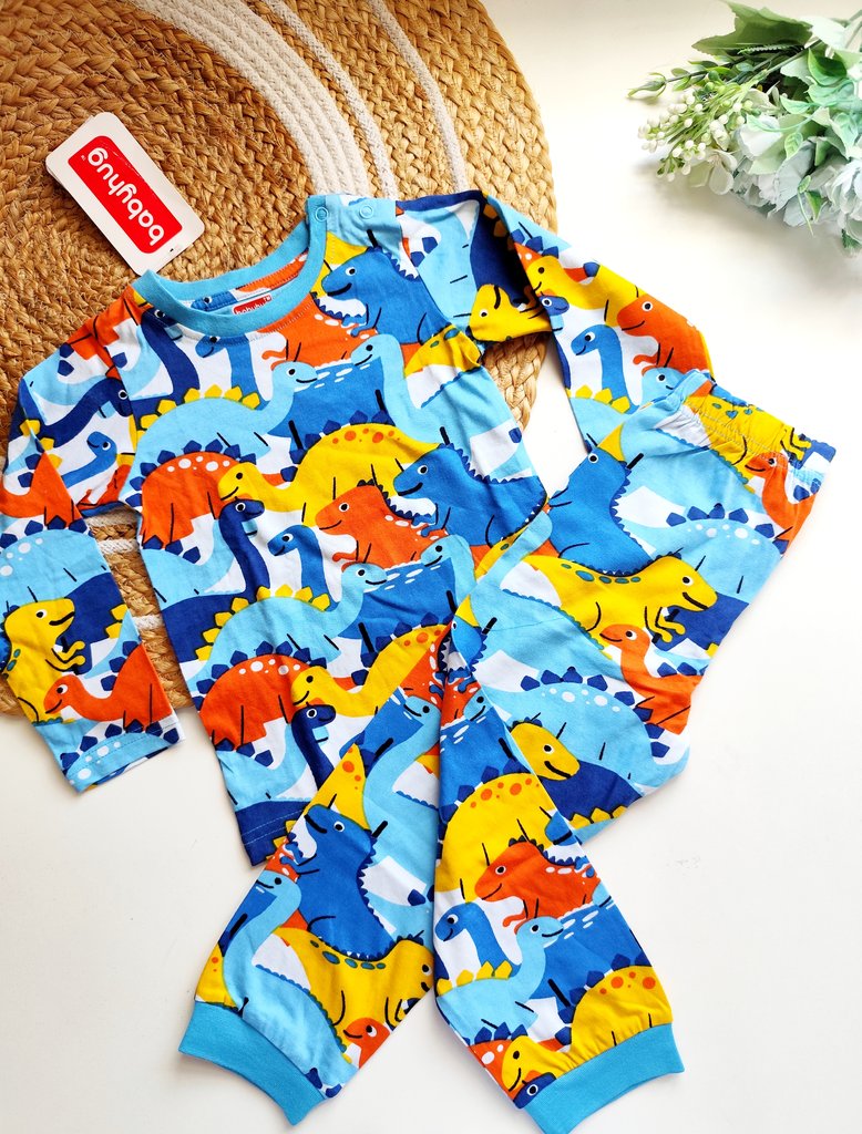 Co ords- Multicolor Dinosaur Print