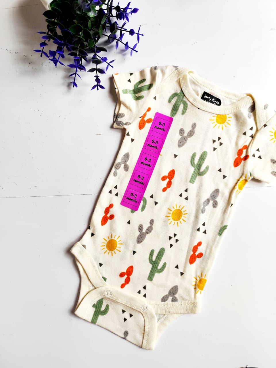 Onesies - Cacti