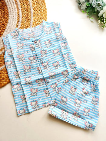 Cotton Co ords- Sky Blue Striped Elephant Print