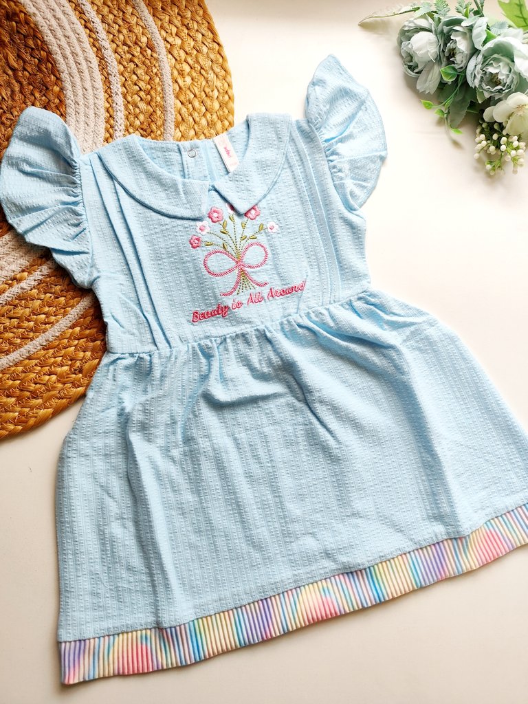 Fancy Frocks- Light Blue Floral Embroidered