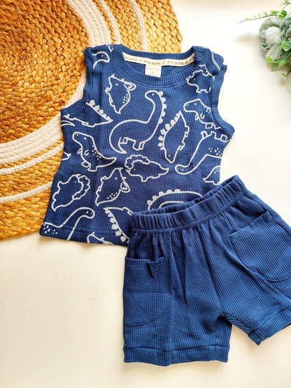Sleeveless Co ord- Blue Dinosaur