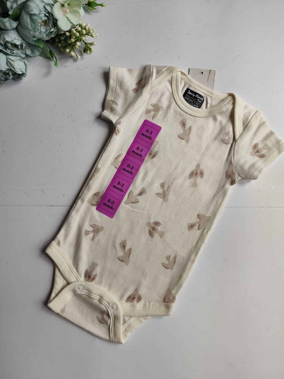 Onesies - Birds