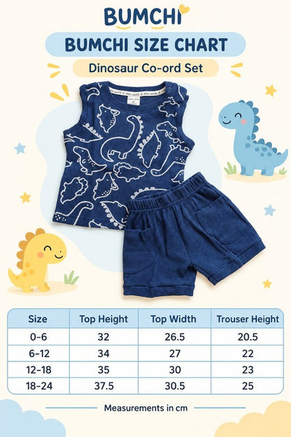 Sleeveless Co ord- Blue Dinosaur
